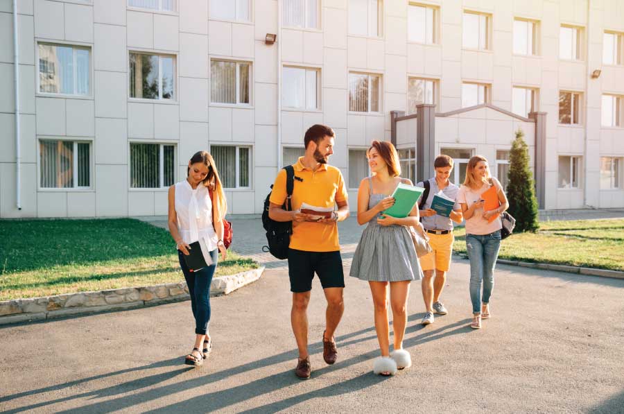 Assignment Help Haringey