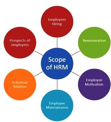 Image result for strategies of human resource management