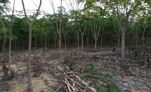 C:\Users\isma\Desktop\New folder (2)\f8e6d65d80591d409b36919fb5ca515af40a0c7f9ae7f0b3a82f67e35e3d8275.jpg